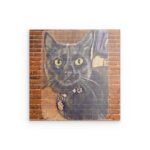 „MINYA“ Mystisches Katzenporträt – Metallwandbild – Urbaner Katzencharme