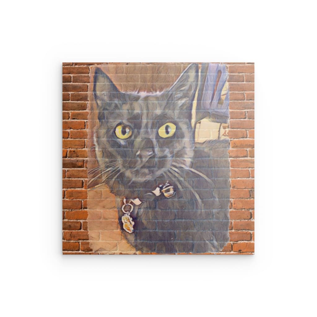 „MINYA“ Mystisches Katzenporträt – Metallwandbild – Urbaner Katzencharme