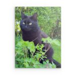 „Minya Garten Privat“ – Schwarze Katze – Metallwandbild für draußen – Natur- & Haustierdeko – Vertikal (60–120 cm)